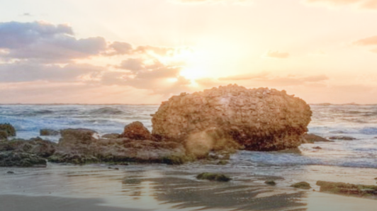 suncitygroup·太阳(集团)官网登录入口